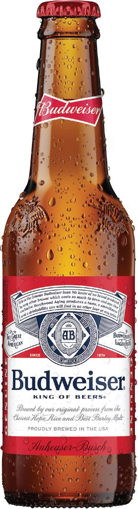 DOMESTIC BEER
